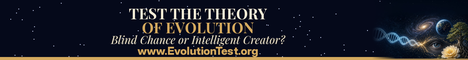Is this your great-great-great granpappy? Find out at www.EvolutionTest.org