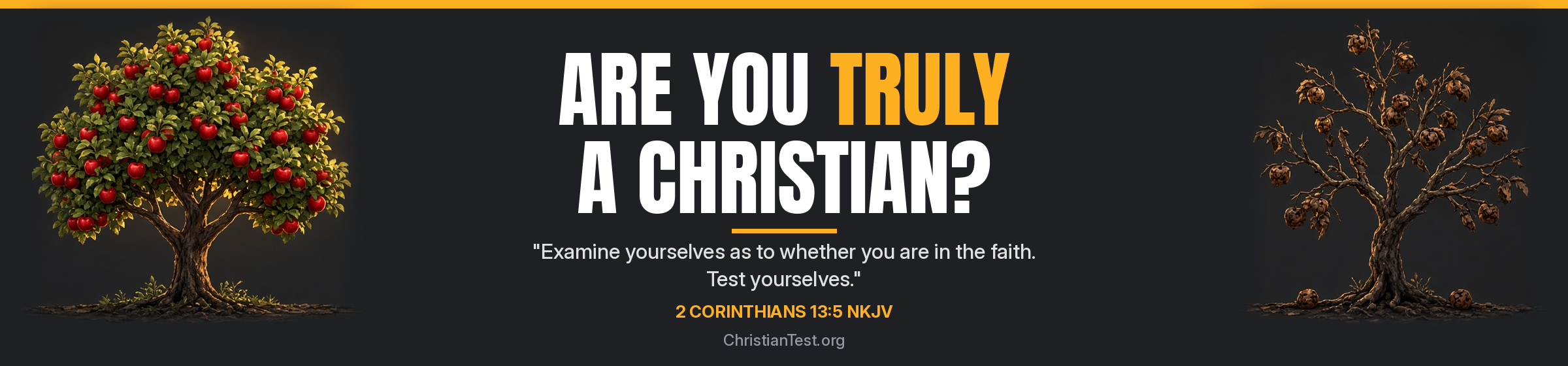 Are You Truly A Christian? Examine yourselves as to whether you are in the faith.